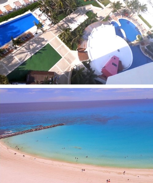 Untitled design (10)