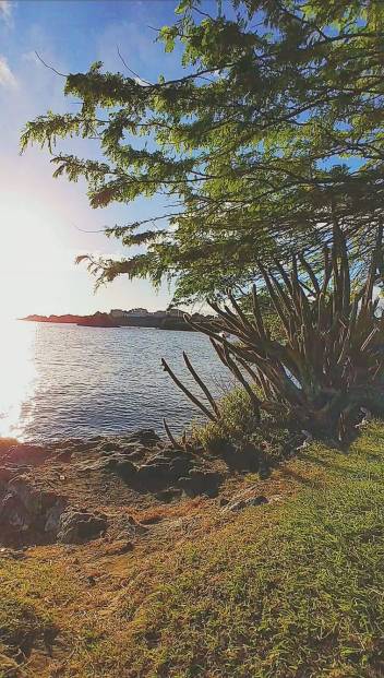 IMG-20191118-WA0056 (1)