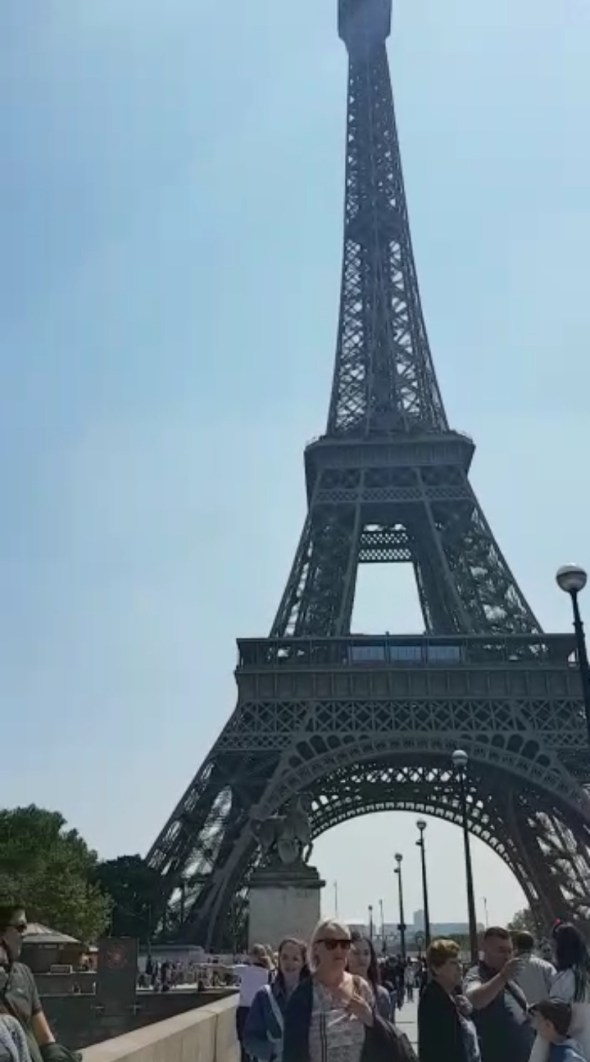 Screenshot_20191119-180317_Video Player