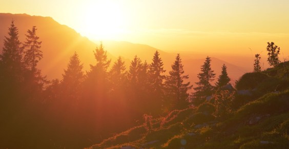 Turquoise Mood Board Inspirations (7)